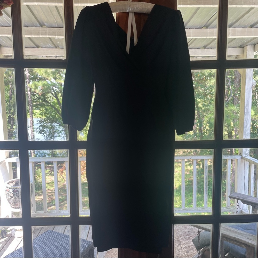 Bawdy Vixen by Micheline Pitt Dress - Picture 2 of 4